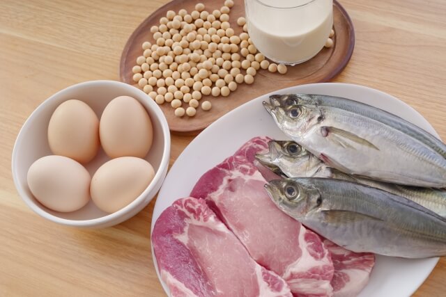タンパク質を含む食材